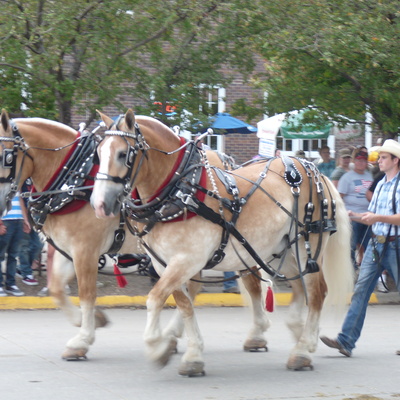 2013 Iowa State Fair